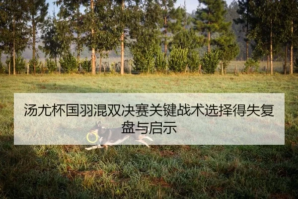 tang-you-bei-guo-yu-hun-shuang-jue-sai-guan-jian-zhan-shu-xuan-ze-de-shi-fu-pan-yu-qi-shi-1-678.jpg